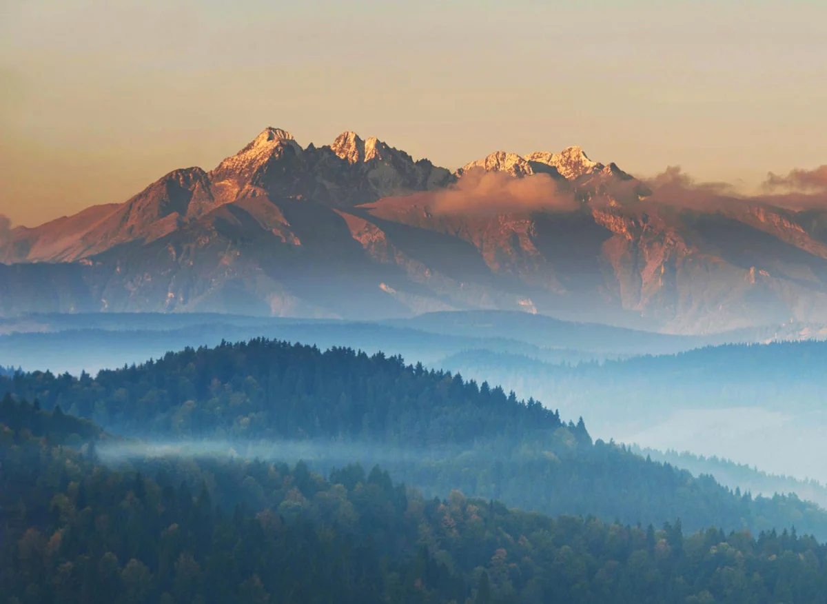 Tylko tutaj więcej informacji o tym jak kupić rolety