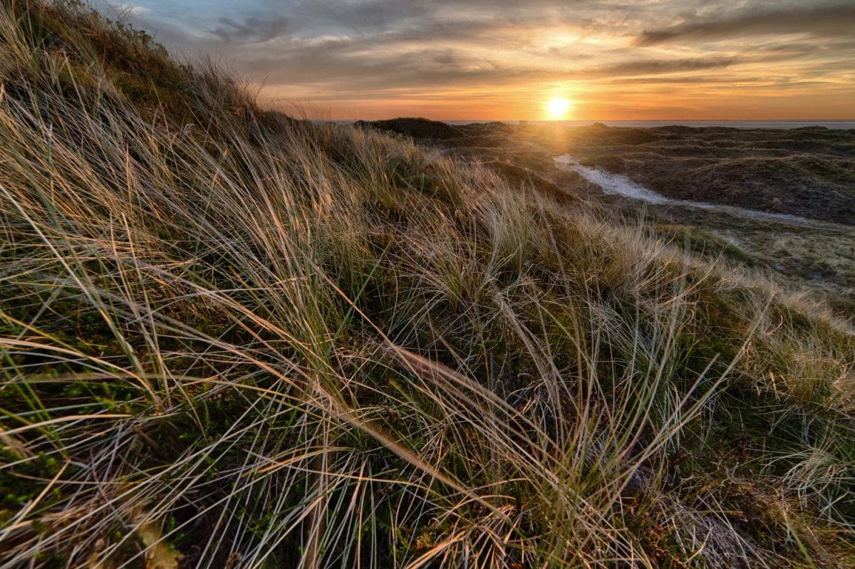 Tylko u nas informacje z pierwszej ręki - o tym jak czytać prawo