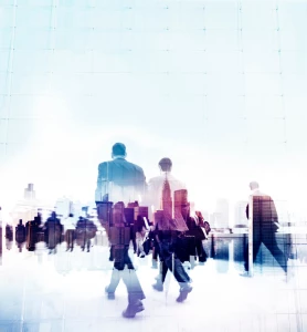 Czy można gotować wegańsko w dzień?