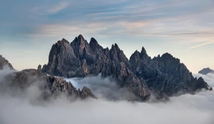 When to rent a car for a wedding and what to pay attention to? 