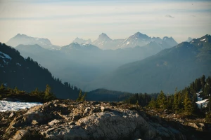 Tylko tutaj więcej informacji o tym jak kupić rolety